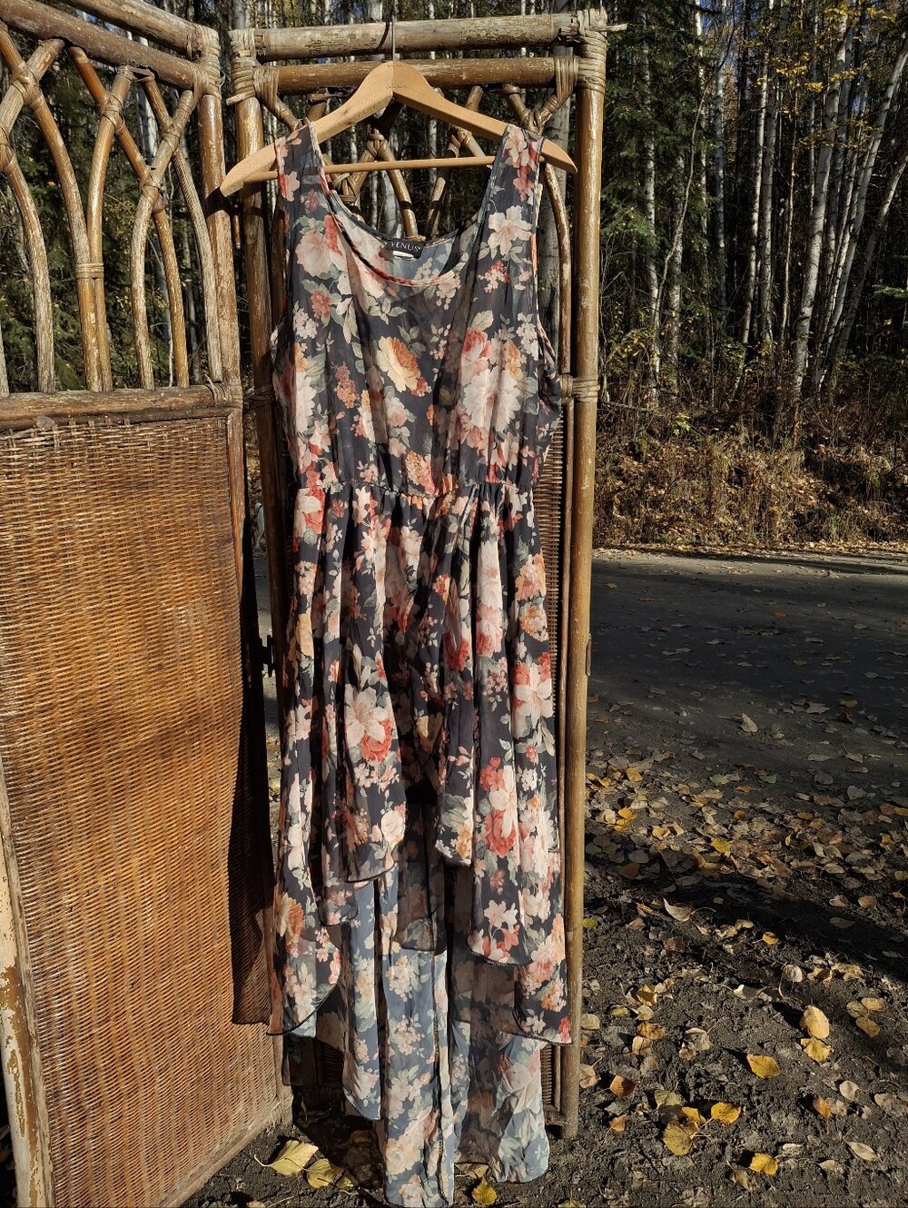 Women's Fall Venus Sheer Dress